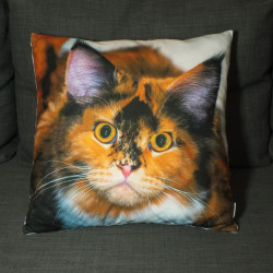 Poduszka dekoracyjna - Rudy kot