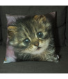Decorative pillow - Little cat