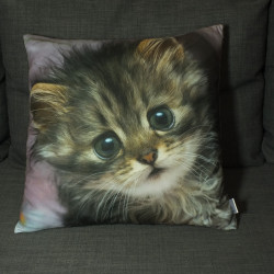 Poduszka dekoracyjna - Mały kotek