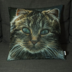 Poduszka dekoracyjna - Duży kot